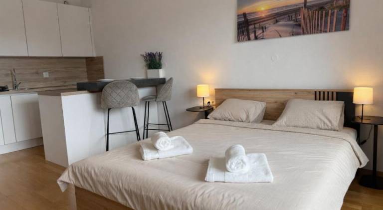 Rental apartment with 1 room for 3 persons in Ljubljana