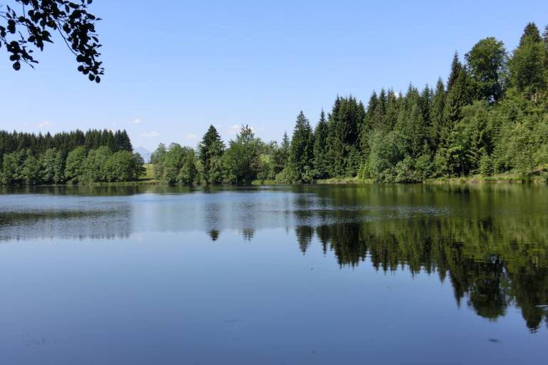 foto15