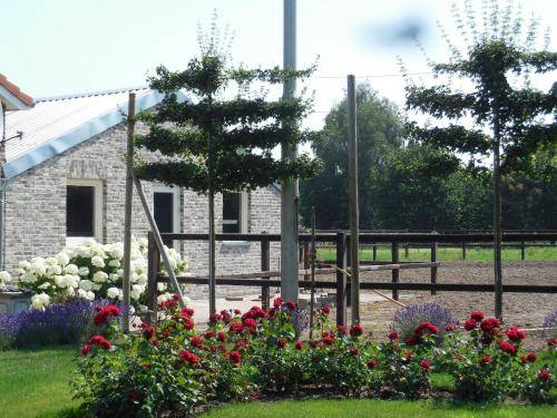 Bed & Breakfast Toverland