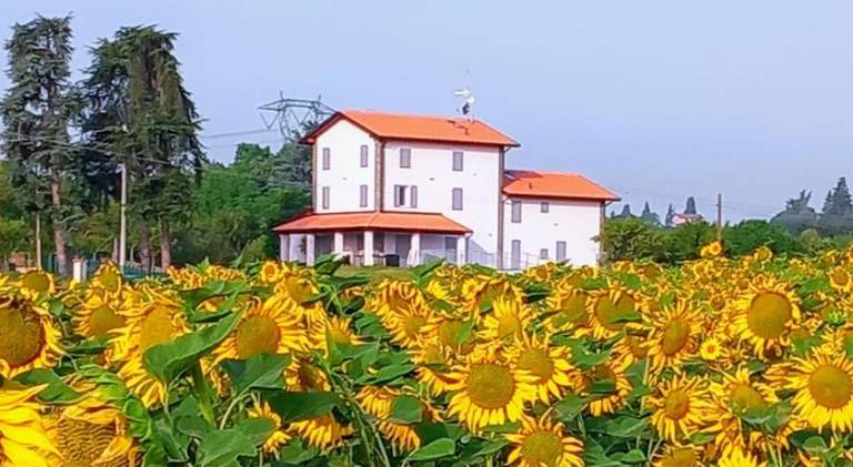 La collinetta B&B in Valsamoggia