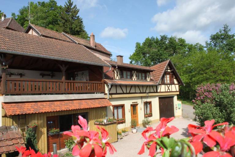 foto2