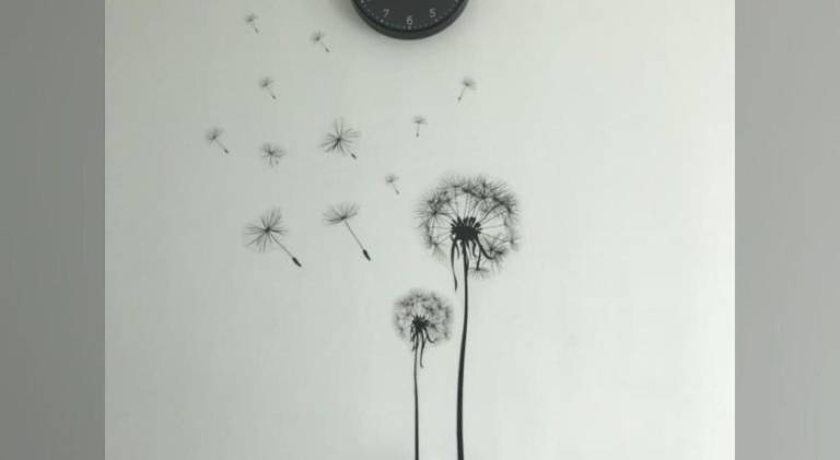 foto48