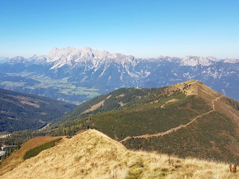 foto42