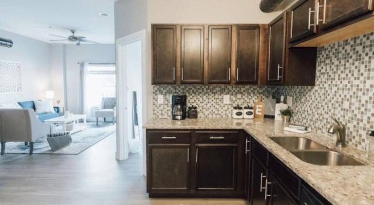 Pleasant holiday apartment | Pet-friendly — photo 5