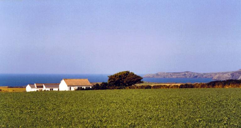 Cottage Porthgain
