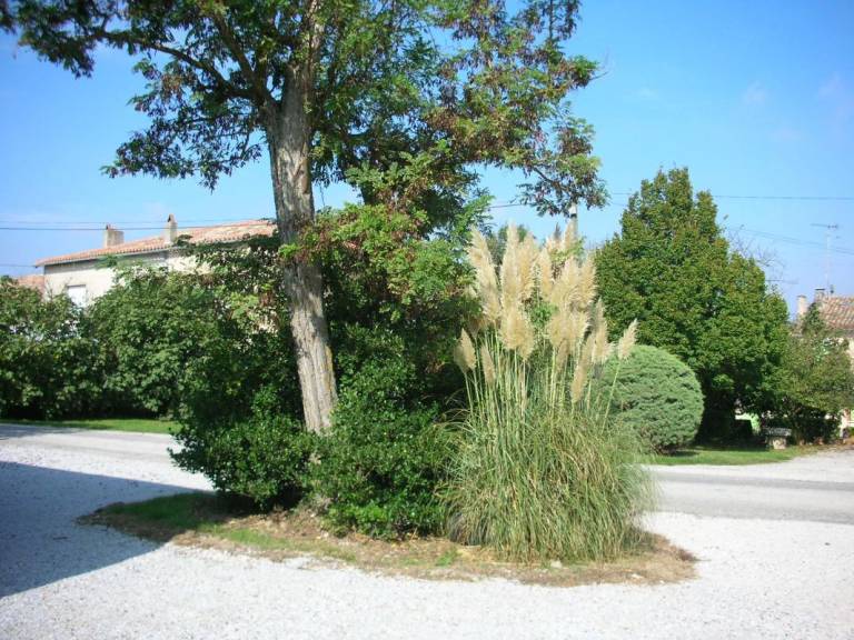 Gite Les Durands — photo 2