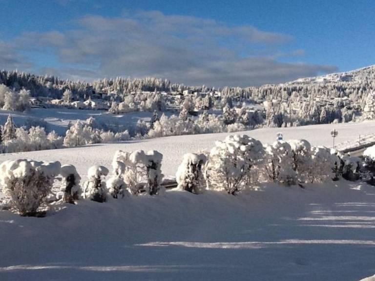 Rental apartment for 4 persons in Flims