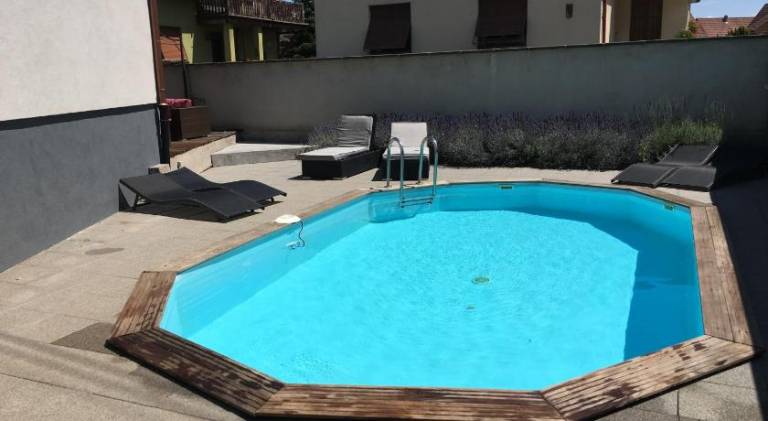 Wonderful apartment with pool | Pets are welcome in Sélestat