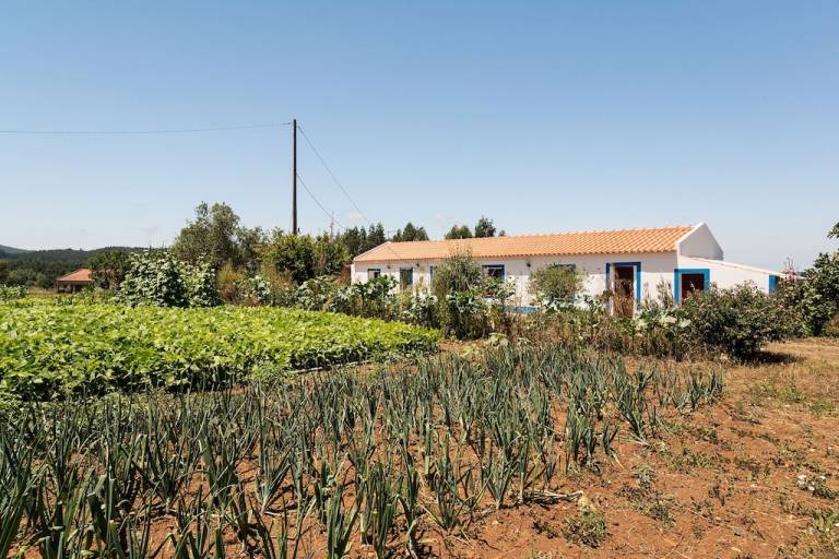 Quinta Cercal