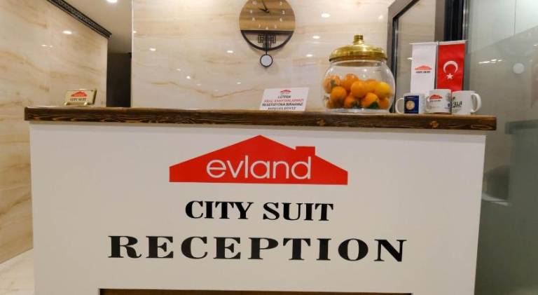 EVLAND CiTY SUiT — photo 4
