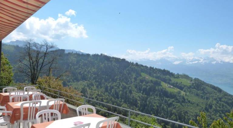 Hotel Bellevue — photo 4