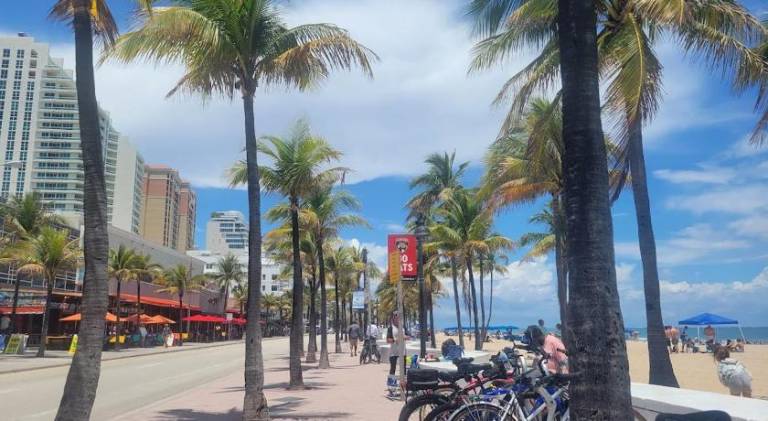 Charming rental apartment | Pets are welcome in Fort Lauderdale, FL