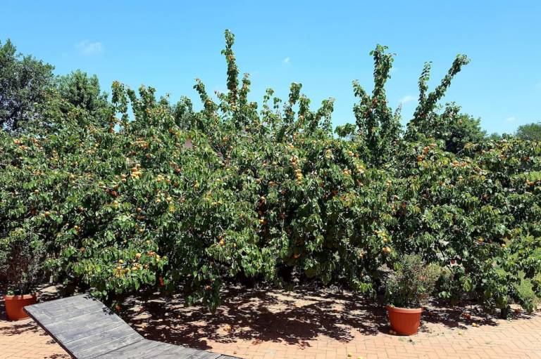 Agriturismo  Cerveteri