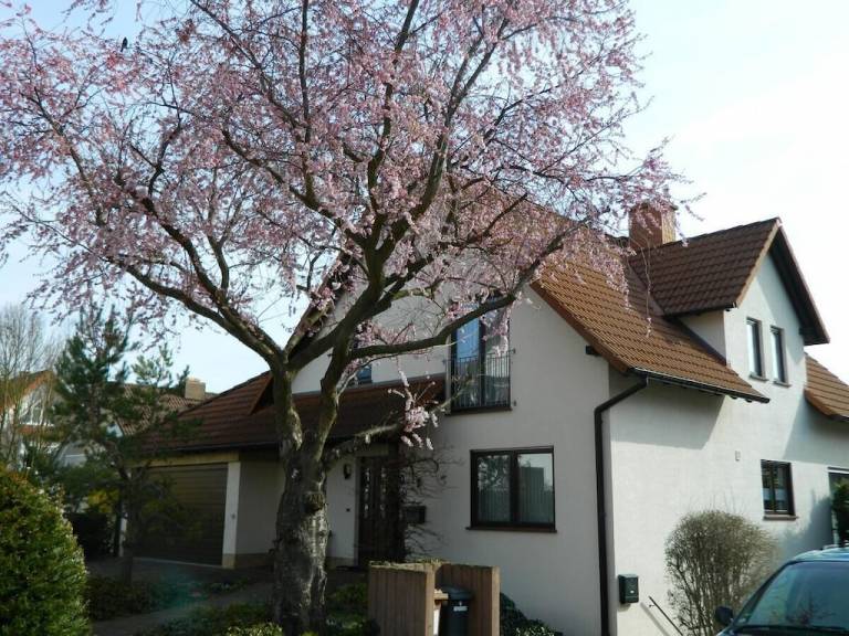 Ferienwohnung Saulheim