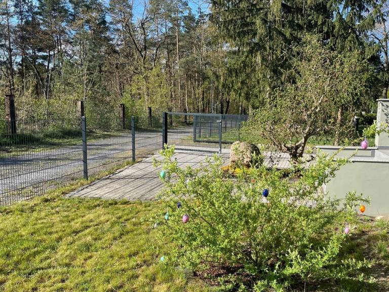 foto23