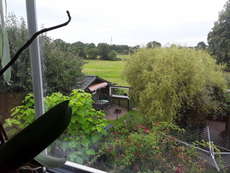 foto12