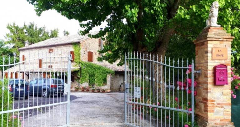 Children-friendly villa with barbeque, yard & terrace | Garden view | Dogs allowed — photo 3