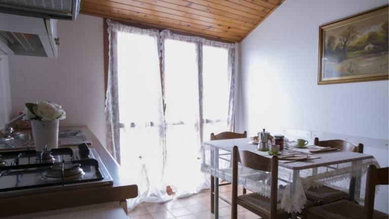 Holiday apartment with 1 room for 3 persons — photo 5