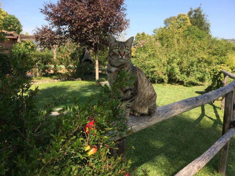 foto44