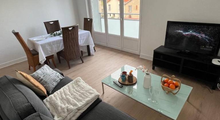 Lovely rental apartment | Pets are welcome in Clermont-Ferrand