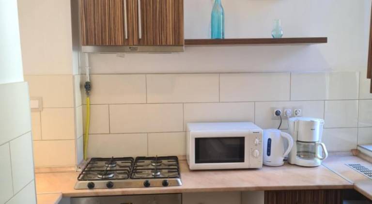 Rental apartment with terrace & yard | Next to St. Stephen's Basilica | Suitable for remote work — photo 5