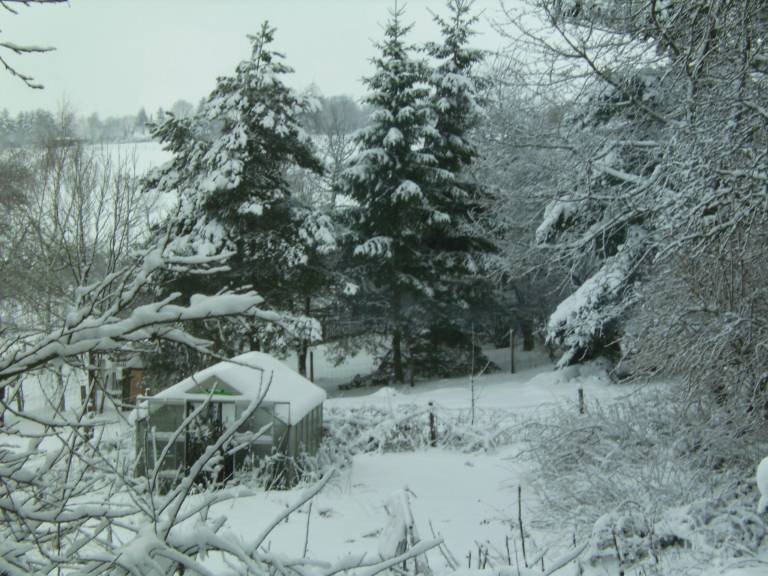 foto8