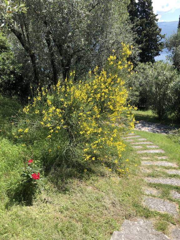 foto18