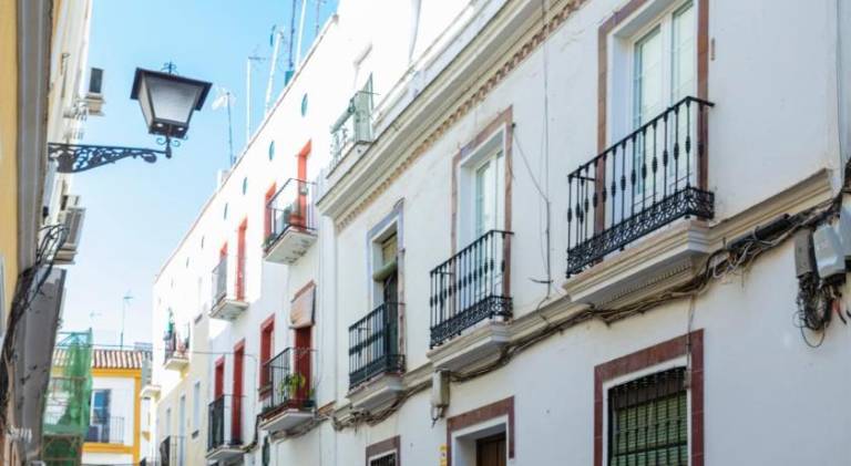 Pleasant rental apartment | Near Seville Cathedral | Pet-friendly — photo 4