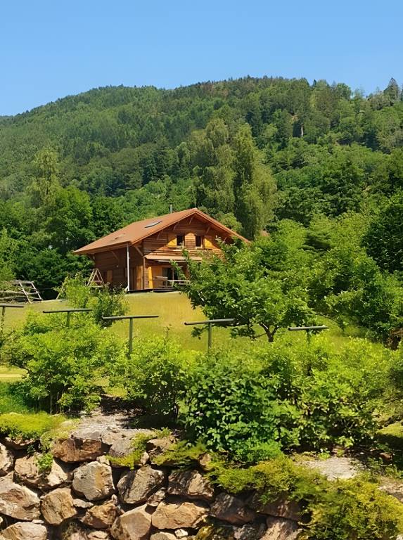 Chalet for 12 Guests with Pond – 5 Bedrooms in Thann
