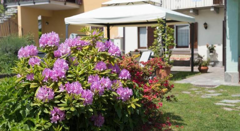 Apartment with 1 room for 5 persons — photo 3