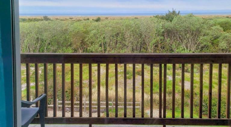 Pleasant holiday apartment | Beach nearby | Dogs allowed in Ocean Shores, WA