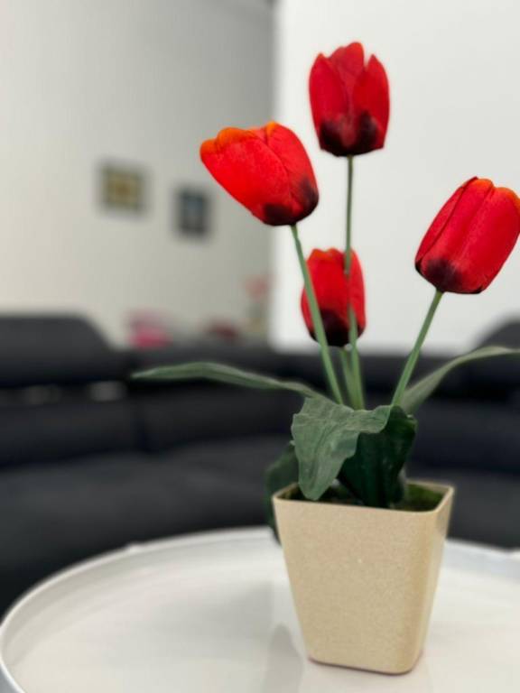 1800 m&sup2; Ferienhaus