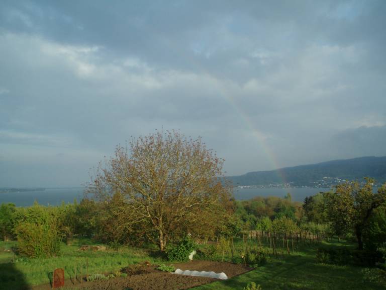 foto32