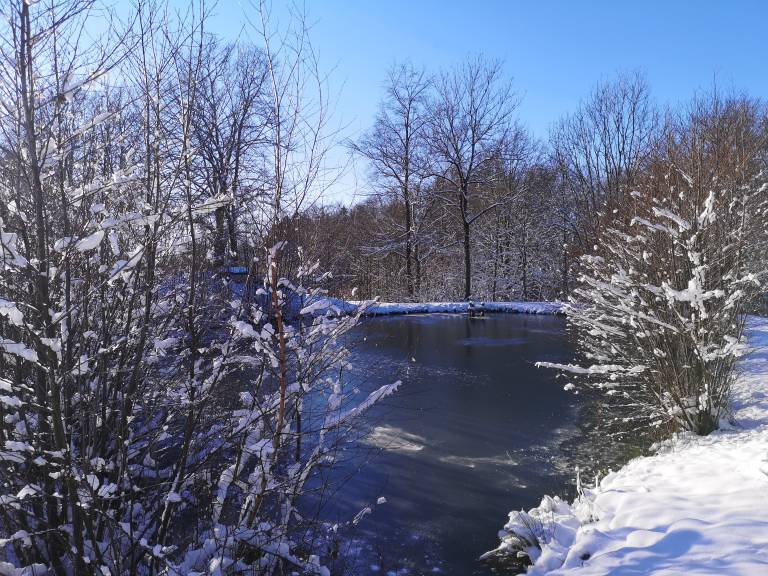 foto14
