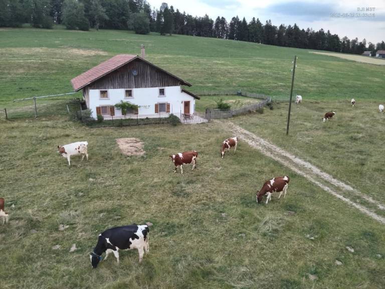 Ferienhaus Les Breuleux