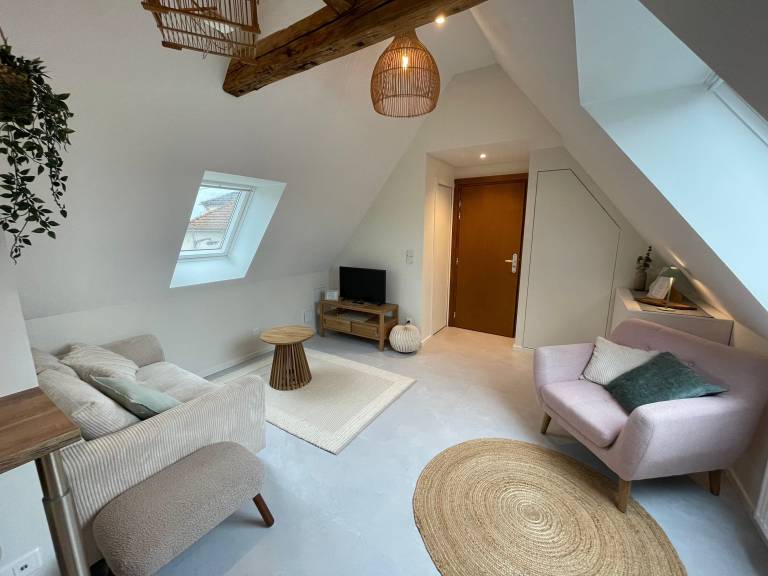 Appartement  Vendenheim
