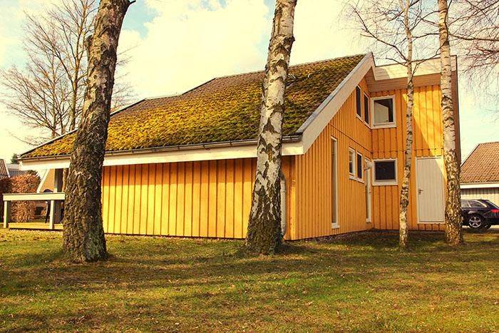 Wildgans 280 - Klassisches skandinavisches Ferienhaus für bis zu 6 Personen in Mirow