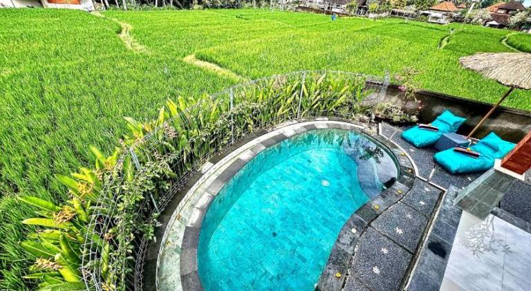 Villa with grill, pool & garden — photo 4