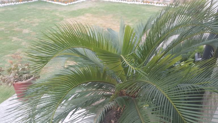foto6