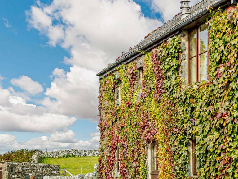 Cottage Dyffryn Ardudwy