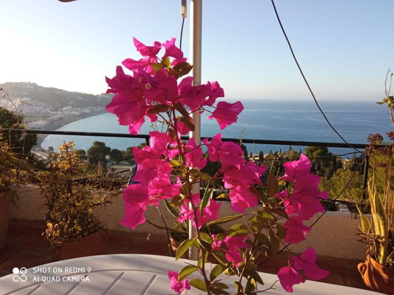 Vacation home with terrace, garden & barbecue — photo 5