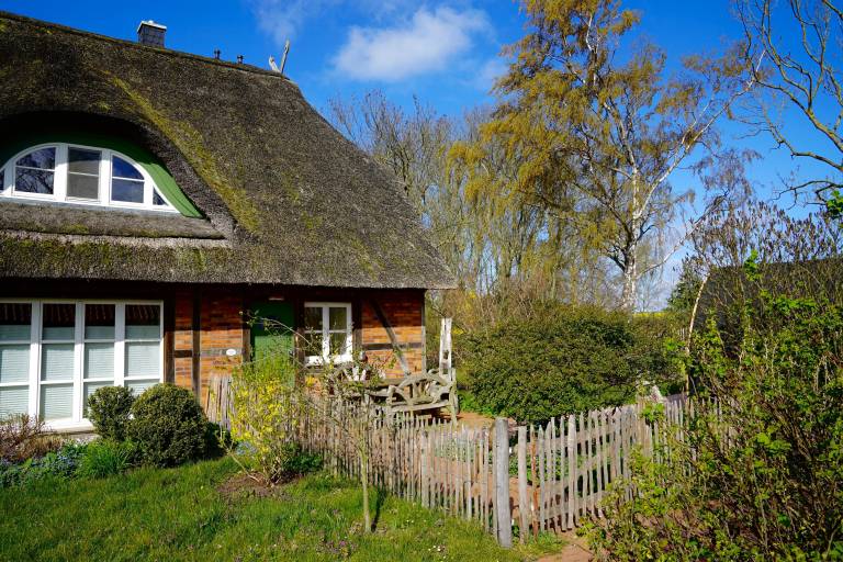 Ferienhaus Insel Poel