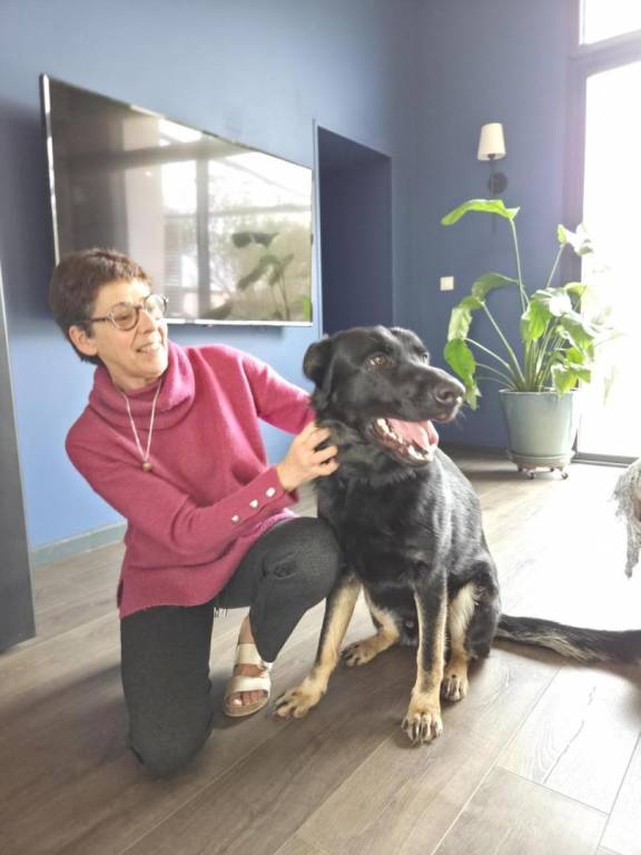 Family-friendly wonderful gite with garden & patio | Pets are welcome — photo 2