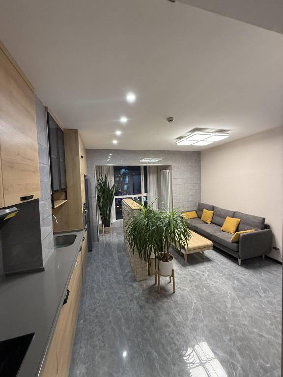 Apartment Chengxi