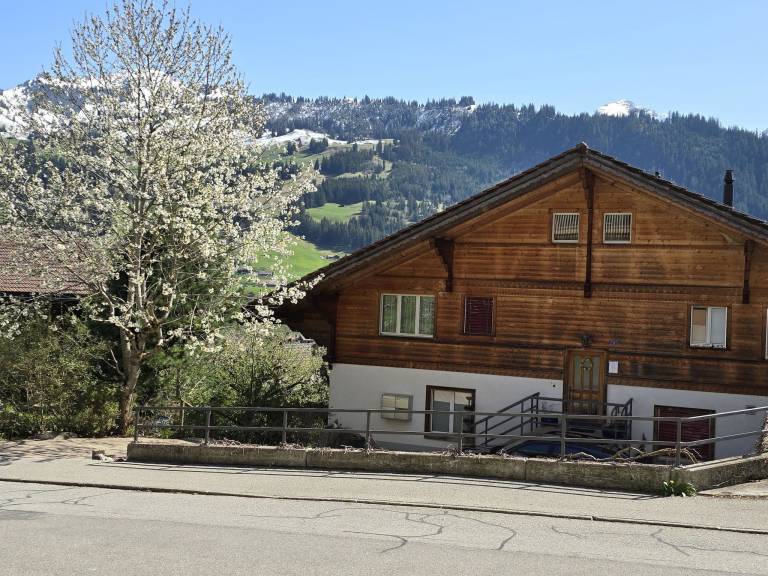 Ferienwohnung mit Hund in Zweisimmen für max. 6 Personen Ferienwohnung mit Hund in Zweisimmen für max. 6 Personen
