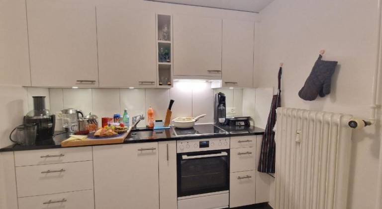 Apartment | Next to Basel Town Hall — photo 5