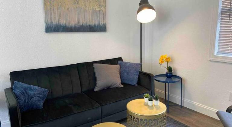 Wonderful rental apartment | Pet-friendly in Tampa, FL