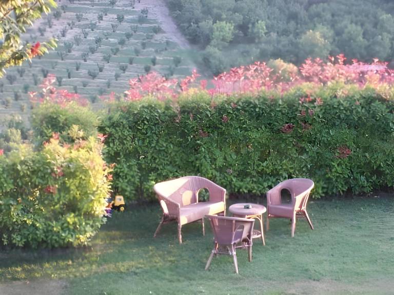 Cascina La Corte in Neive
