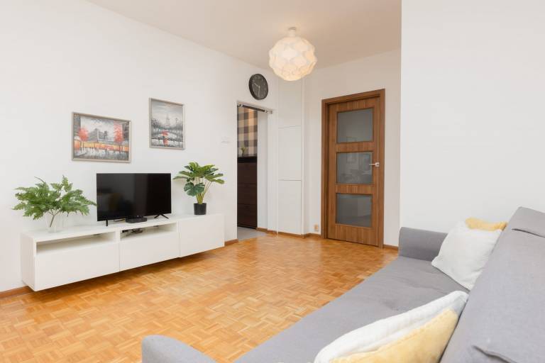 Rental apartment with yard & fast internet — photo 2