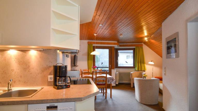 Ferienwohnung  Todtnau